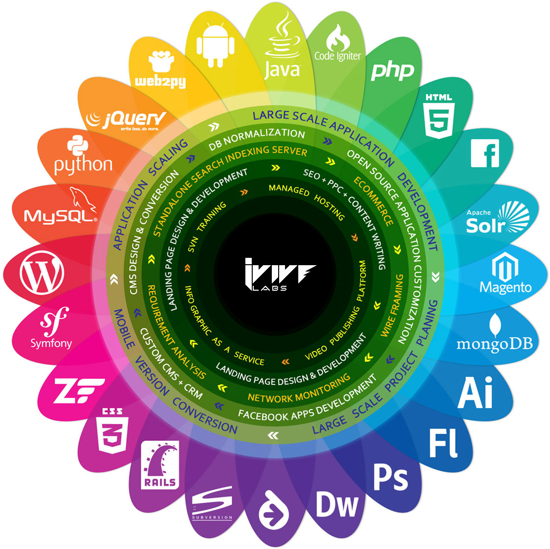 iViveLabs skills infographic